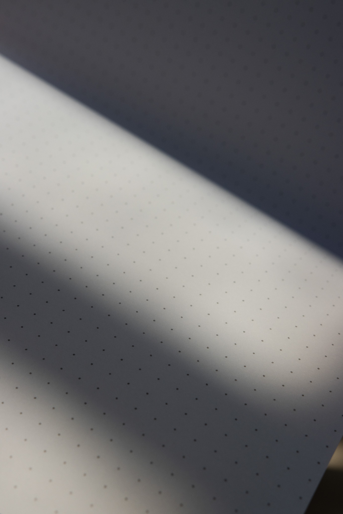 Detalle del sketchbook Wild Ink